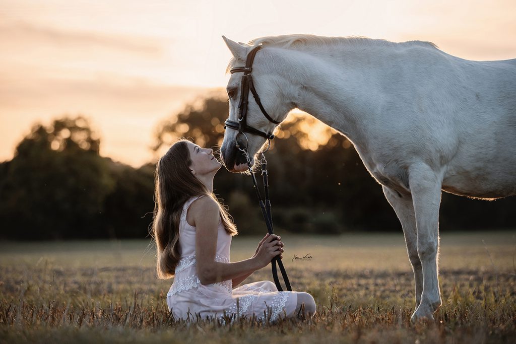 Yasmin Winter winterlichtmalerei Pferdefotografie Köln NRW