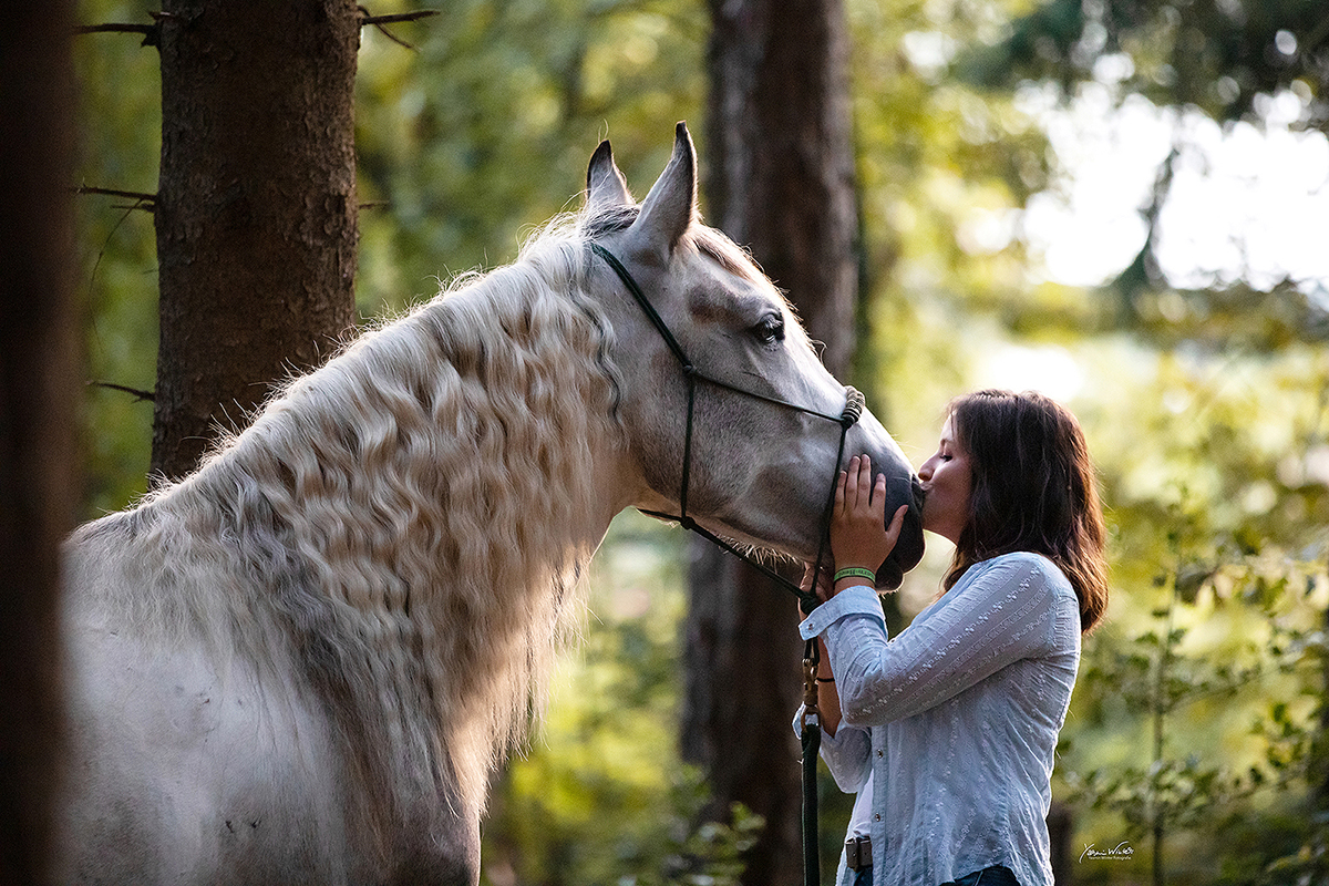 Yasmin Winter winterlichtmalerei Pferdefotografie Köln NRW